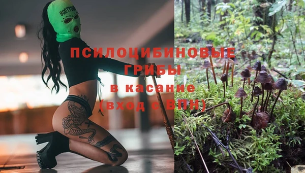 трава Алексеевка
