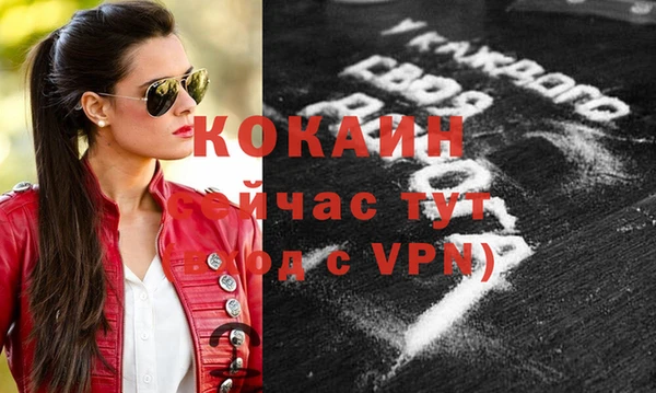 apvp Алексин