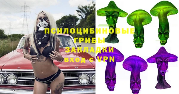 apvp Алексин